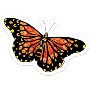 Butterfly - Monarch Butterfly