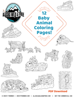 Color: Baby Animal Coloring Pages