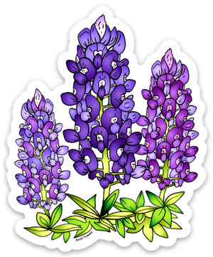 Flowers - Lupine Cluster