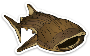 Shark - Whale Shark