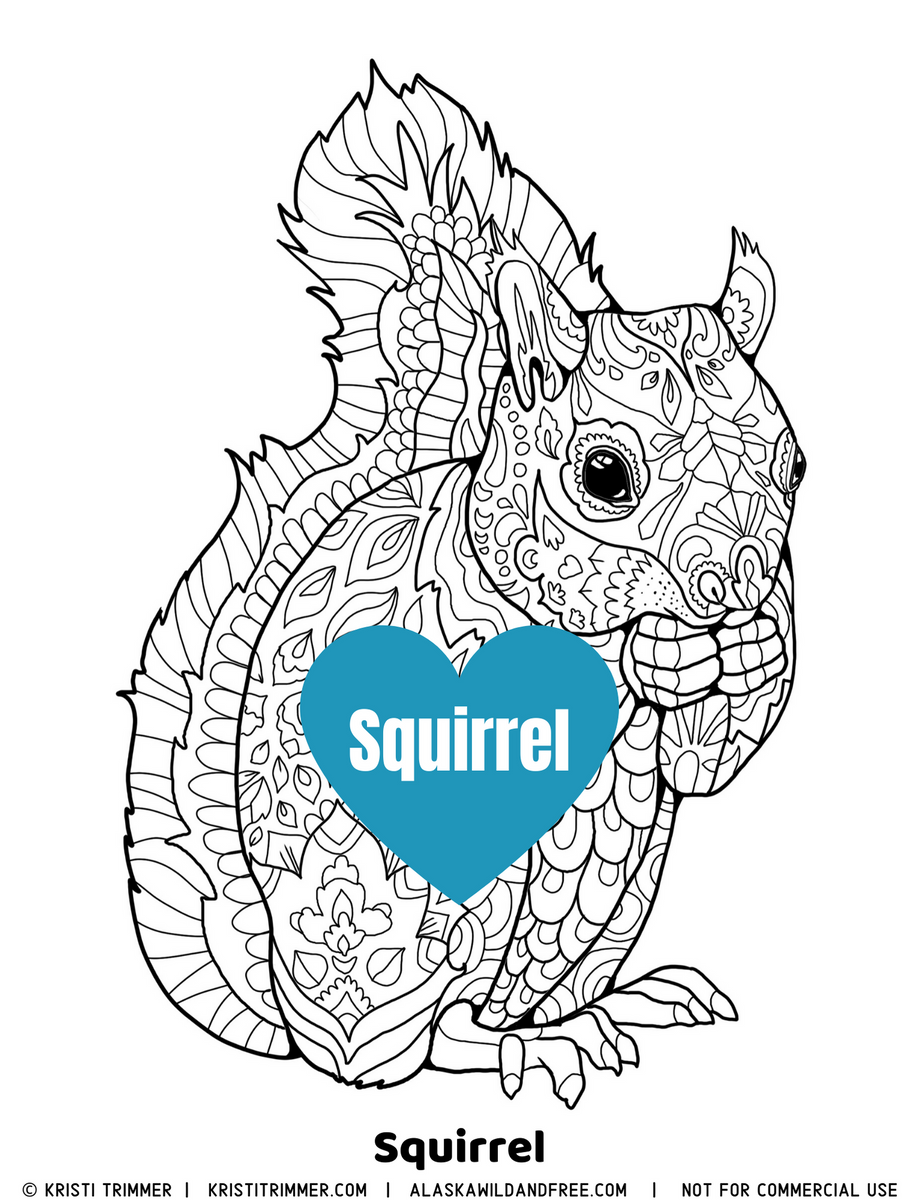 color-squirrel-coloring-page-alaska-wild-free for Free Printable Picture Of A Squirrel Color: Squirrel Coloring Page – Alaska Wild & Free for Free Printable Picture Of A Squirrel