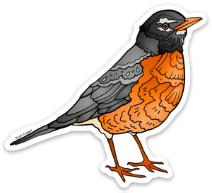 Bird - Robin