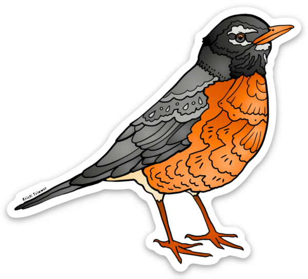 Bird - Robin