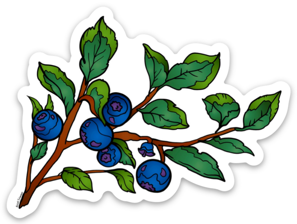 Flowers - Blueberries