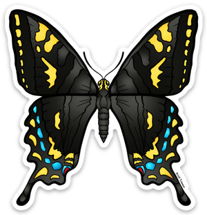 Butterfly - Swallowtails