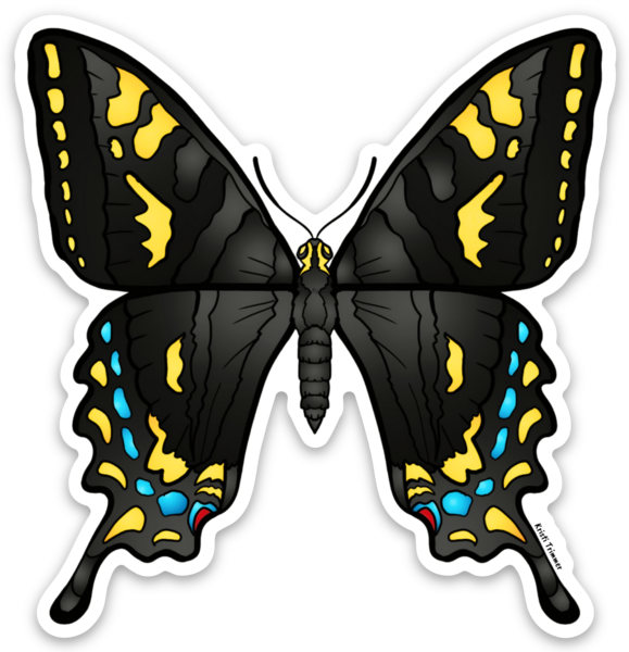 Butterfly - Swallowtails