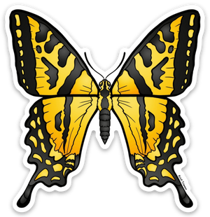 Butterfly - Swallowtails