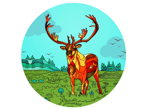 Caribou - Caribou Summer
