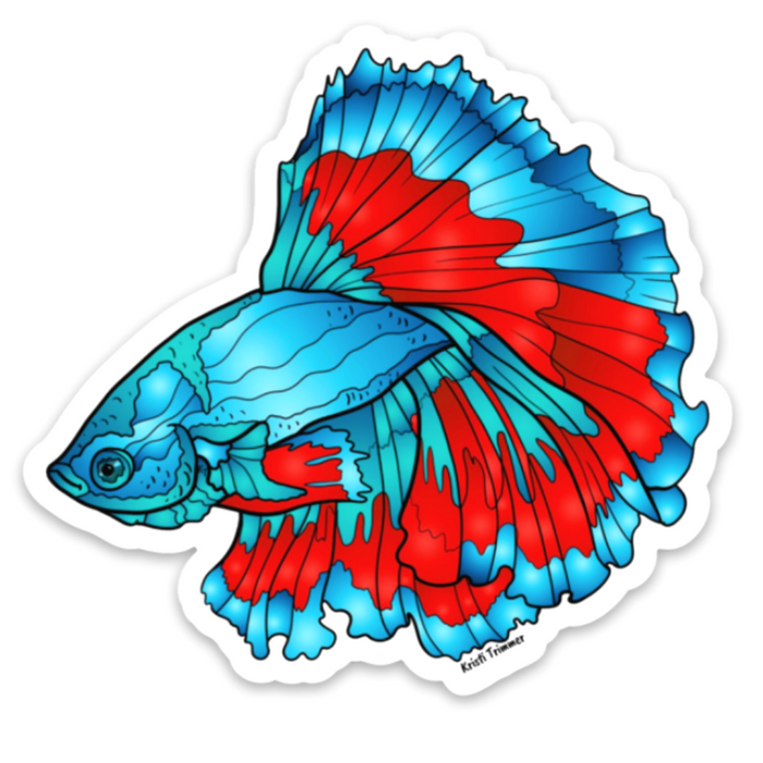 Fish - Betta Fish