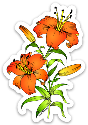 Flowers - Asiatic Lily