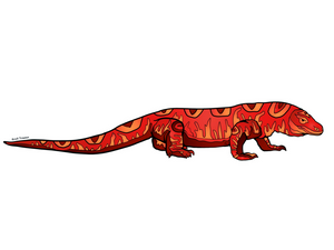 Lizard - Komodo Dragon