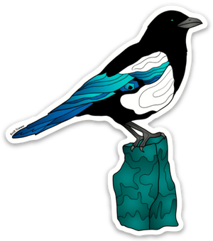 Bird - Magpie