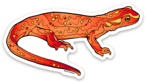 Newt