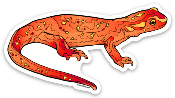Newt