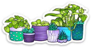 Flowers - Indoor Plants