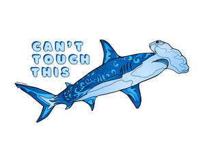 Shark - Hammerhead Shark