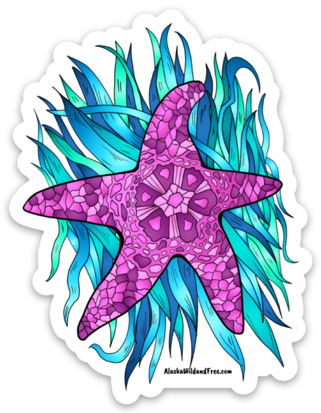 Starfish - Pink Starfish