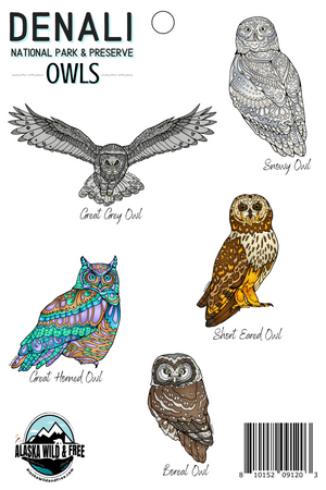 Sticker Sheet - Denali Owls