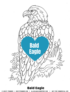 Color: Bald Eagle Coloring Pages
