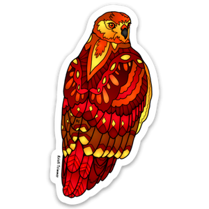 Bird - Hawk - Red-Tailed Hawk Sitting