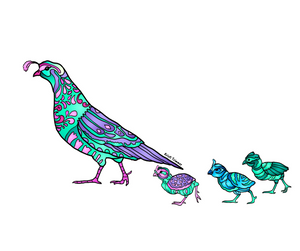 Bird - Quail Family Sticker