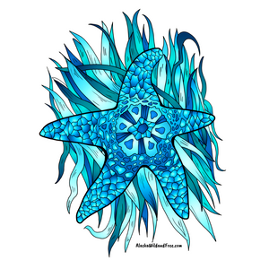 Starfish - Blue Starfish Sticker
