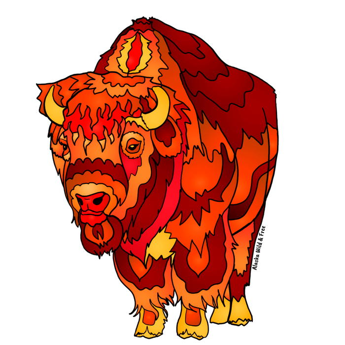 Bison or Buffalo Magnet