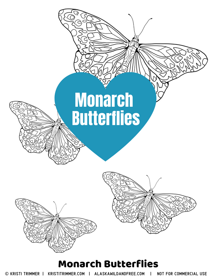 Color: Monarch Butterflies Coloring Page