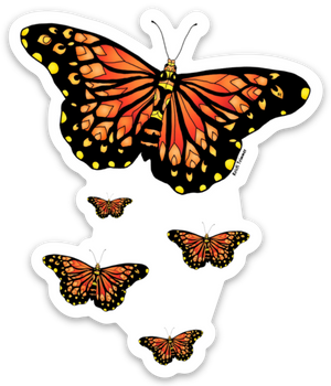 Butterfly - Monarchs Flying