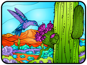 Desert - Hummingbird with Saguaro