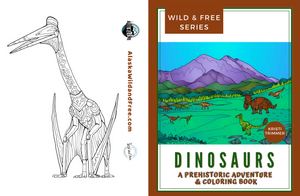 Book - Dinosaurs Coloring Book