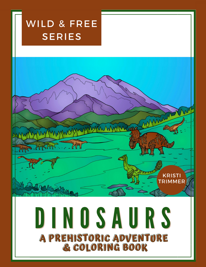 Book - Dinosaurs Coloring Book
