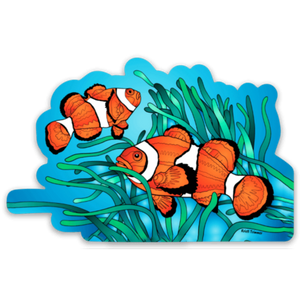 Fish - Clownfish