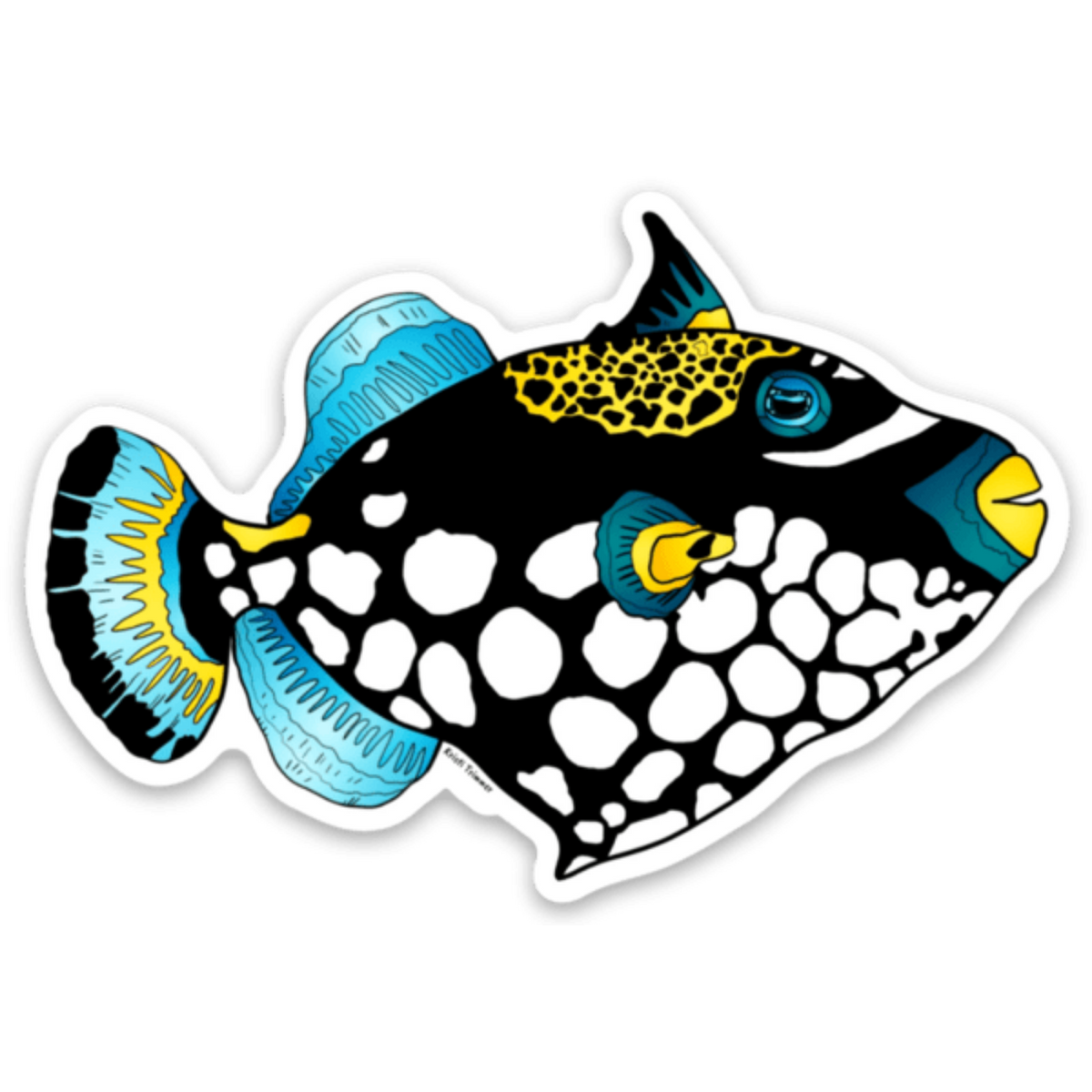 Fish clown triggerfish alaska wild free