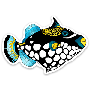Fish - Clown Triggerfish
