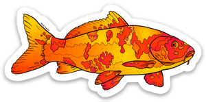 Fish - Koi Fish