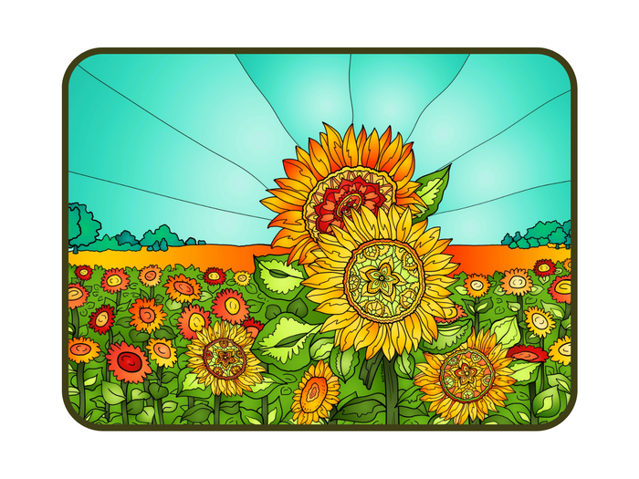 Flowers - Sunflower Field