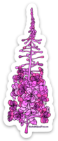 Flowers - Fireweed Magnet