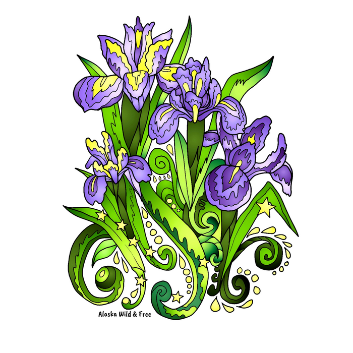 Flowers - Wild Iris