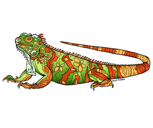 Lizard - Iguana Sticker