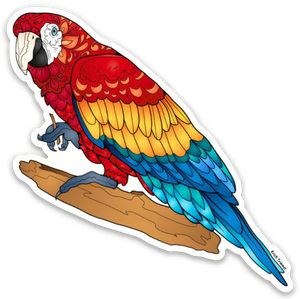 Bird - Macaws