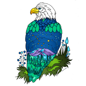 Bird - Mountain Bald Eagle