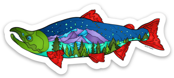 Fish - Mountain Salmon