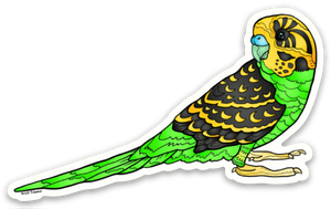 Bird - Parakeet