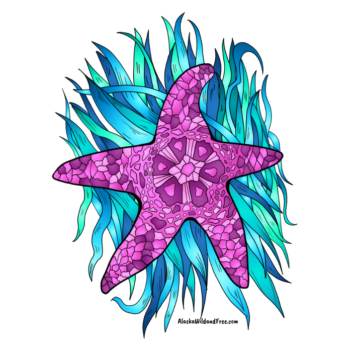 Starfish - Pink Starfish Sticker