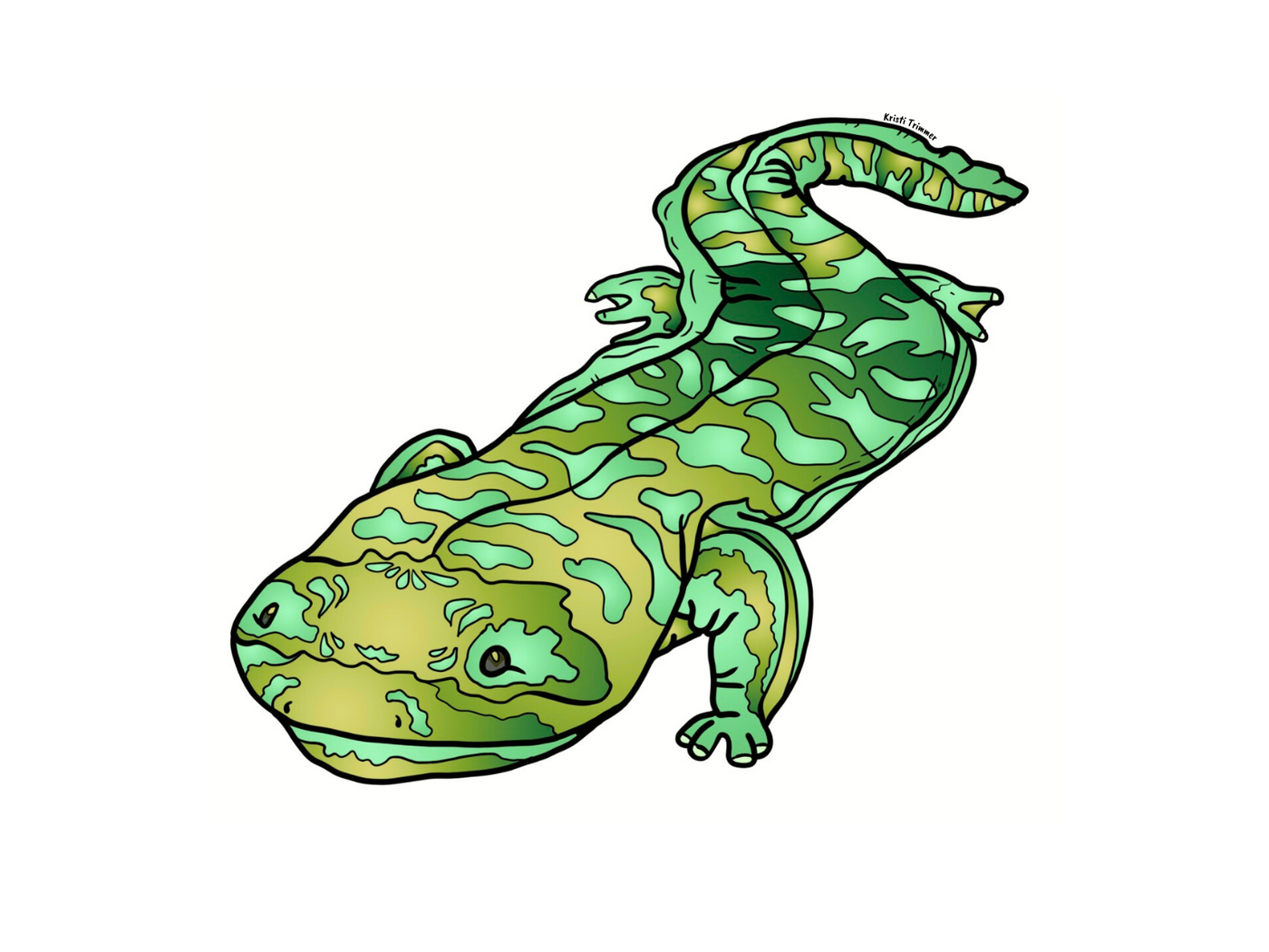 Hellbender Sticker Hellbender Salamander – Alaska Wild & Free
