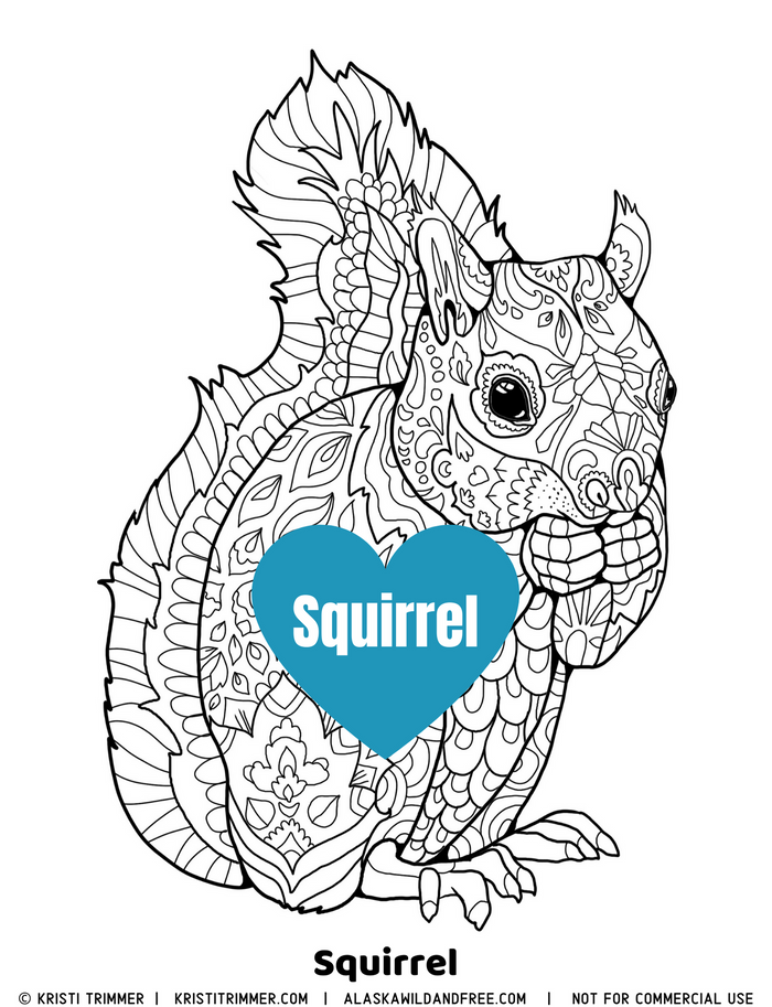 Color: Squirrel Coloring Page