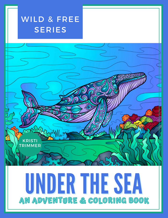 Book - Under the Sea: An Under Water Adventure & Coloring Book