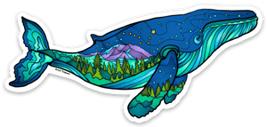 Whale - Humpback Whale - Mountain Humpback