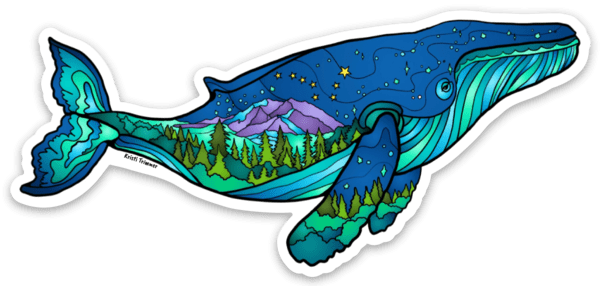 Whale - Humpback Whale - Mountain Humpback